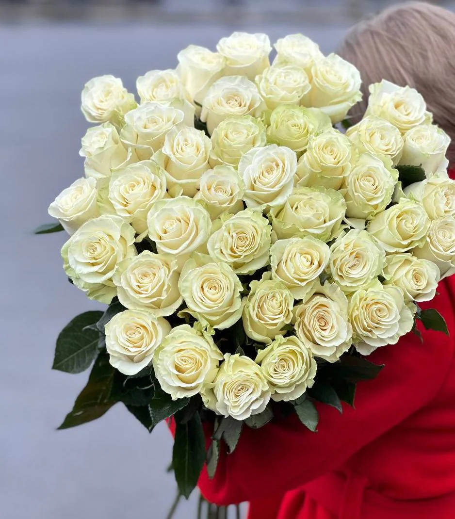 Роза сорта «Moндиаль» — фото 1