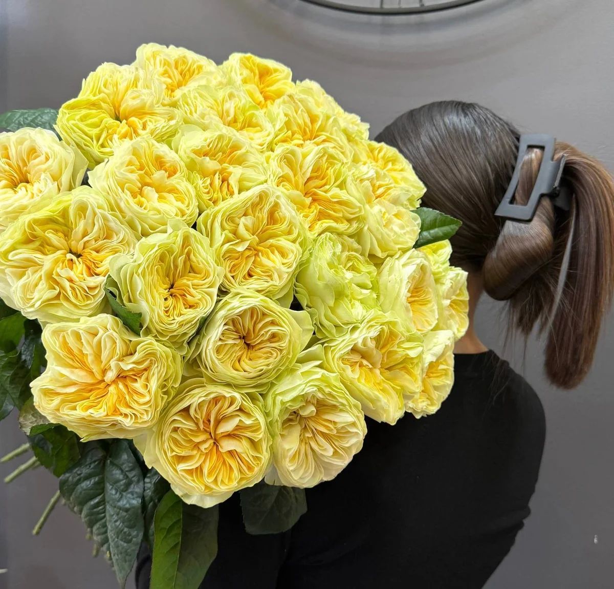 Пионовидная роза сорта «Веддинг»