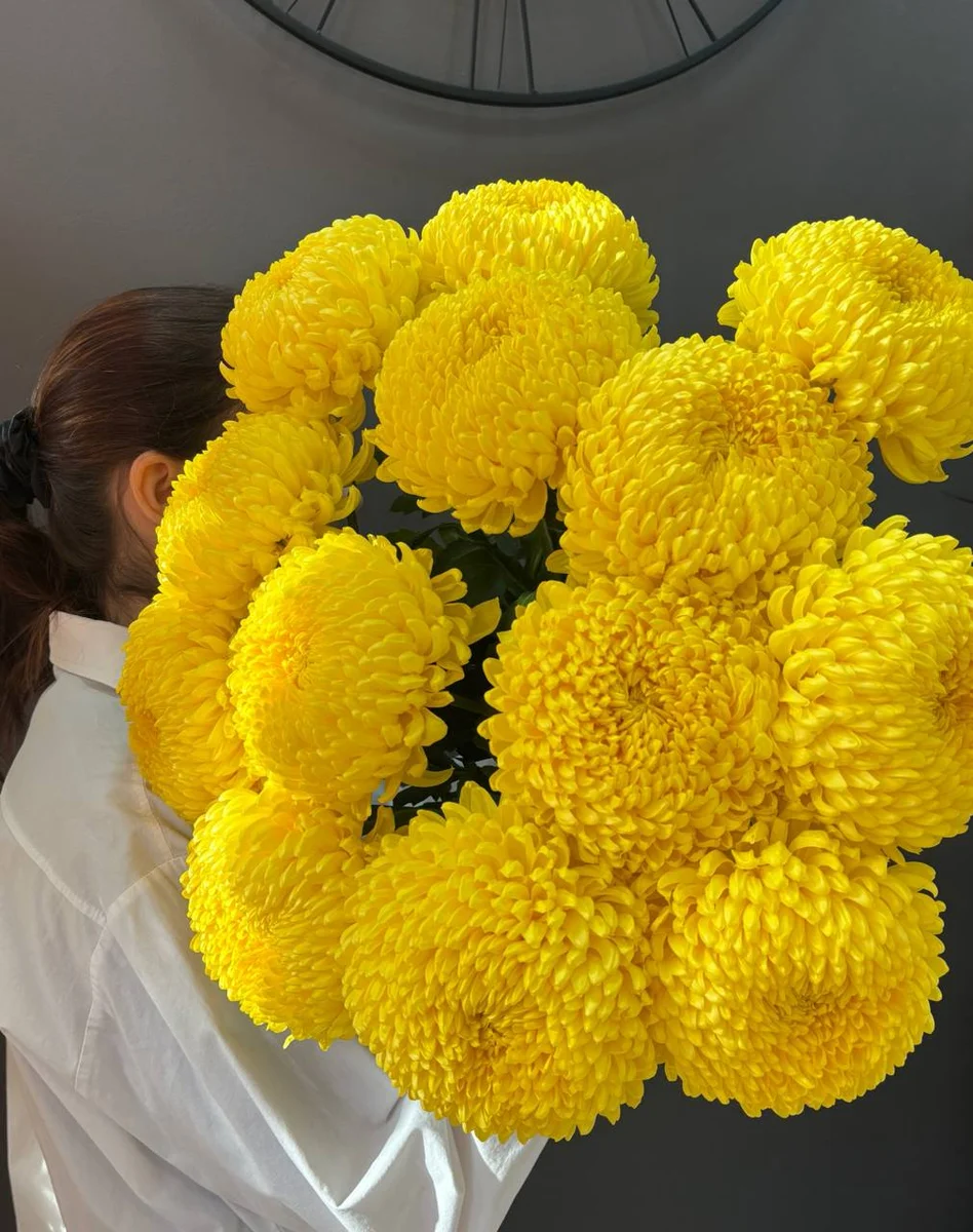 Хризантема одноголовая желтая — фото 1