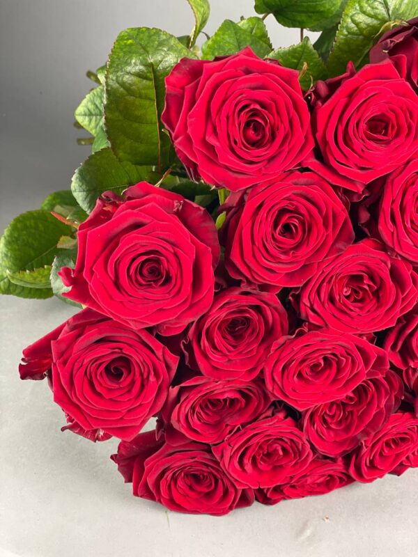 Роза сорта «Red Naomi» купить с доставкой в Мытищах