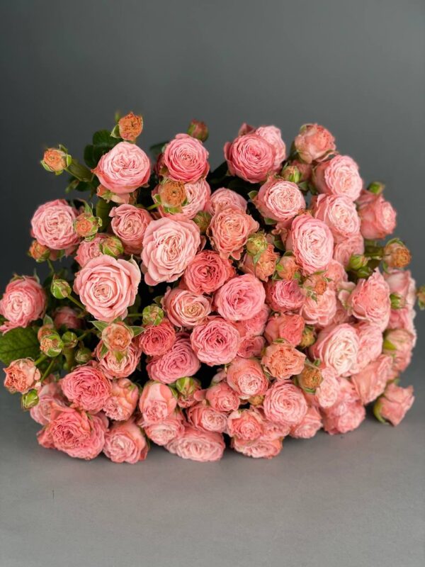 Пионовидная кустовая роза сорта «Madam Bombastic» купить с доставкой в Мытищах