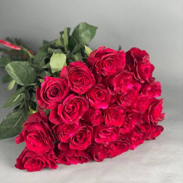 Роза сорта «Red panther» купить с доставкой в Мытищах
