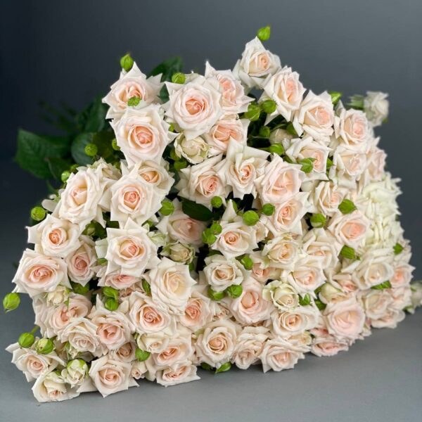 Кустовая роза сорта «Ангелина» купить с доставкой в Мытищах