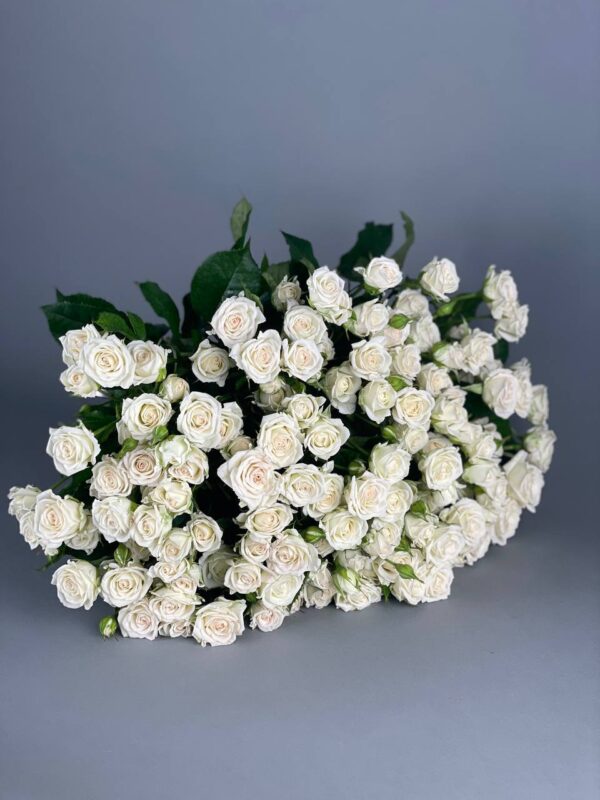 Кустовая роза сорта «Josephine» купить с доставкой в Мытищах