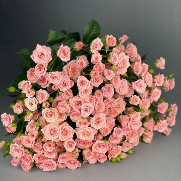 Кустовая роза сорта «Лидия» купить с доставкой в Мытищах