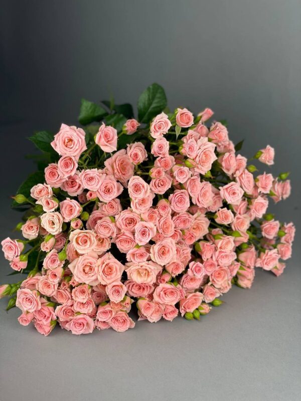 Кустовая роза сорта «Лидия» купить с доставкой в Мытищах