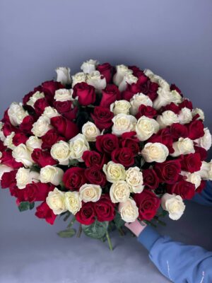 101 Роза сортов «Mondial» и «Explorer» 60 см купить с доставкой в Мытищах