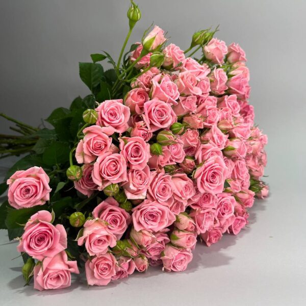 Кустовая роза сорта «Одилия» купить с доставкой в Мытищах