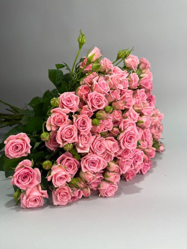 Кустовая роза сорта «Одилия» купить с доставкой в Мытищах