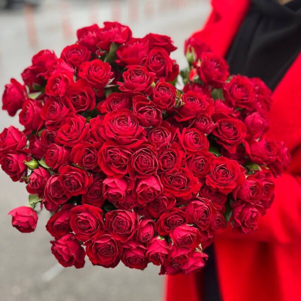 Кустовая пионовидная роза сорта «Red Bubbles» купить с доставкой в Мытищах