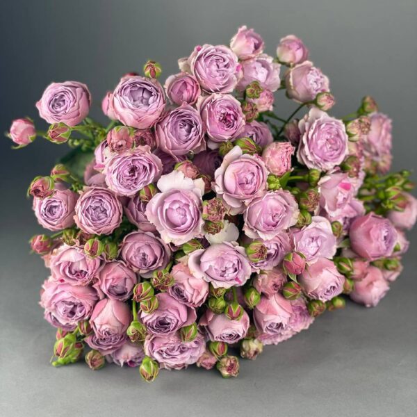 Кустовая пионовидная роза сорта «Lavender Bubbles» купить с доставкой в Мытищах