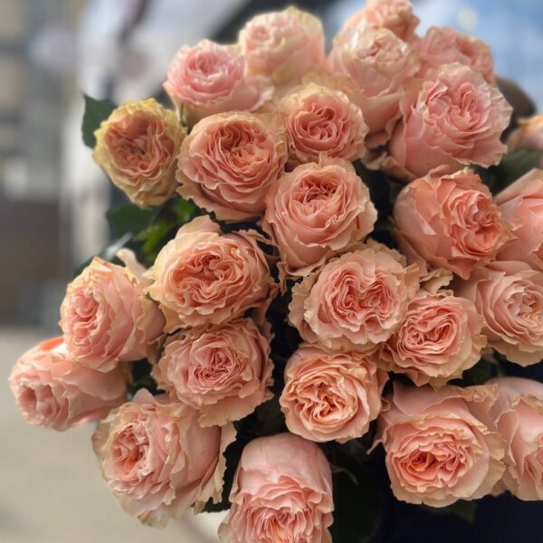 Пионовидная роза сорта «Princess Crown» ( sweet peach) купить с доставкой в Мытищах